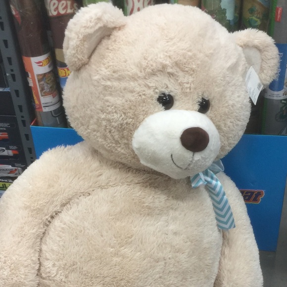 Meet your Posher, Almira - Picture 1 of 1